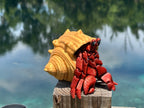 Articulated Hermit Crab with Removable Shell