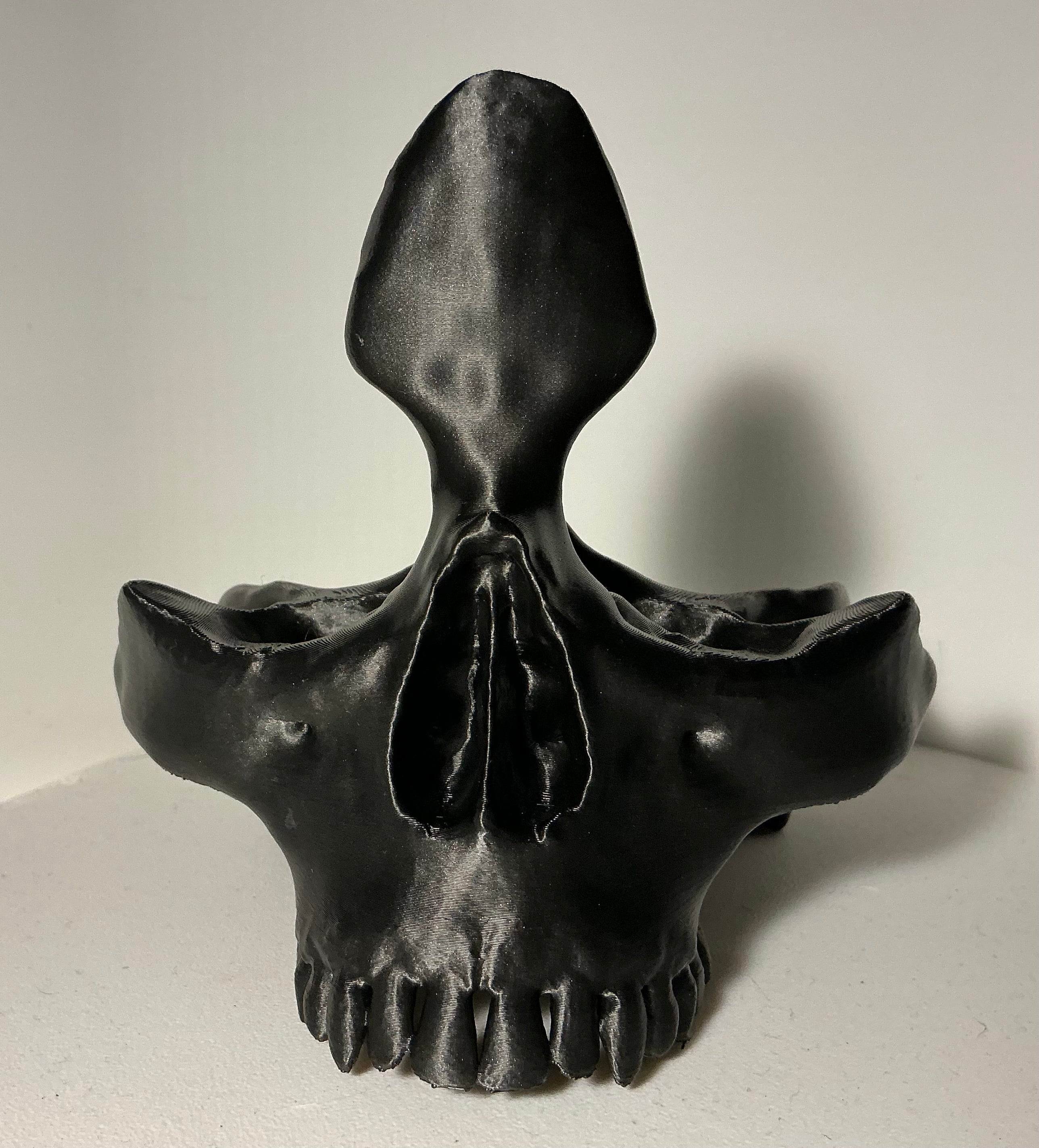 Skull Eyeglass Holder