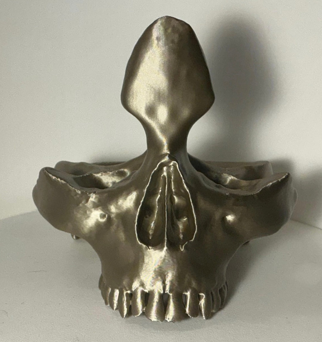Skull Eyeglass Holder