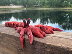 Articulated Hermit Crab with Removable Shell