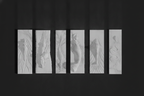 Mermaid Relief Panel Set — 3D Printed Wall Art (Set of 6)