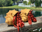 Articulated Hermit Crab with Removable Shell