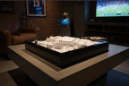 Detroit Lions Ford Field