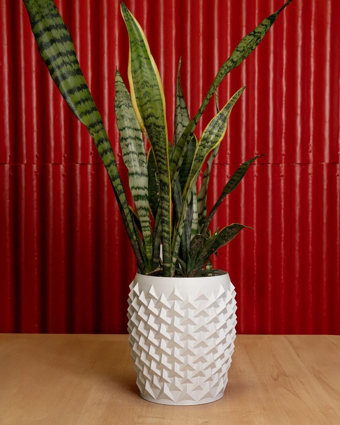 Modern Pointy 3D Printed Flowerpot | Unique Geometric Design for Home Decor & Holiday Gifts