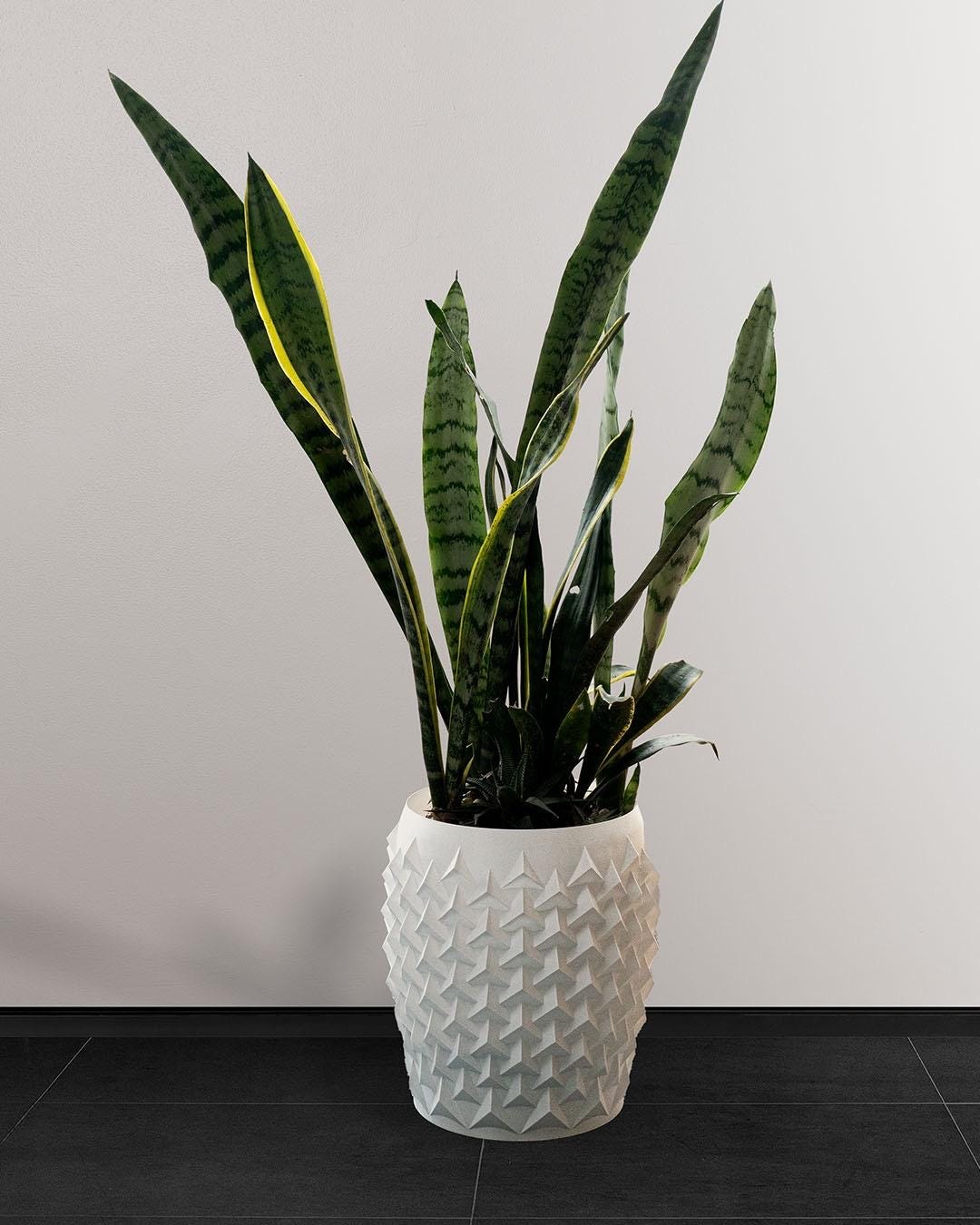Modern Pointy 3D Printed Flowerpot | Unique Geometric Design for Home Decor & Holiday Gifts