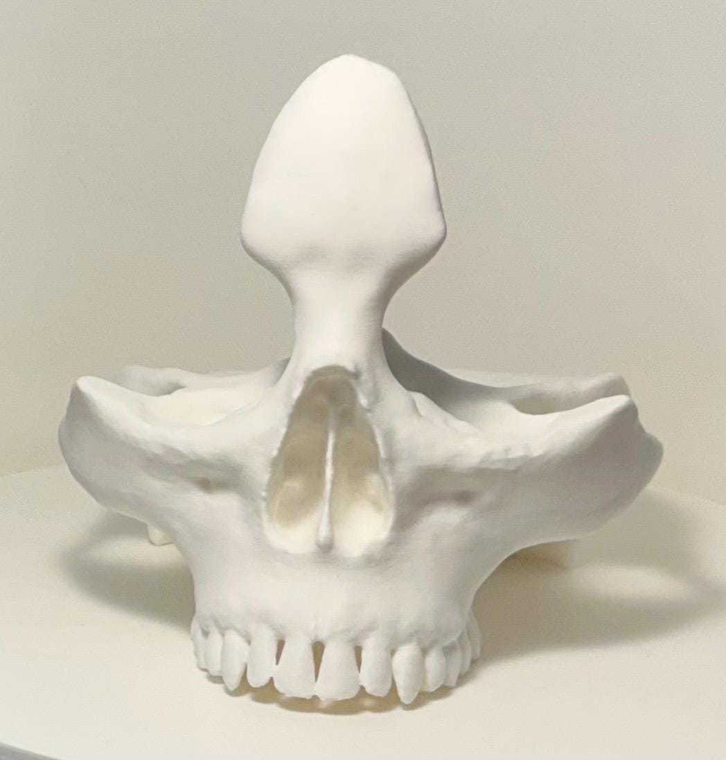 Gothic Skull Eyeglass & Tray Holder – Now in Stunning Metallic Colors!